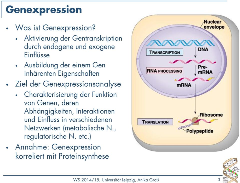 Eigenschaften Ziel der Genexpressionsanalyse Charakterisierung der Funktion von Genen, deren Abhängigkeiten,