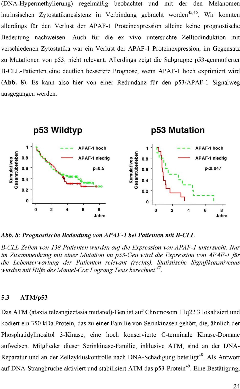 Auch für die ex vivo untersuchte Zelltodinduktion mit verschiedenen Zytostatika war ein Verlust der APAF-1 Proteinexpression, im Gegensatz zu Mutationen von p53, nicht relevant.