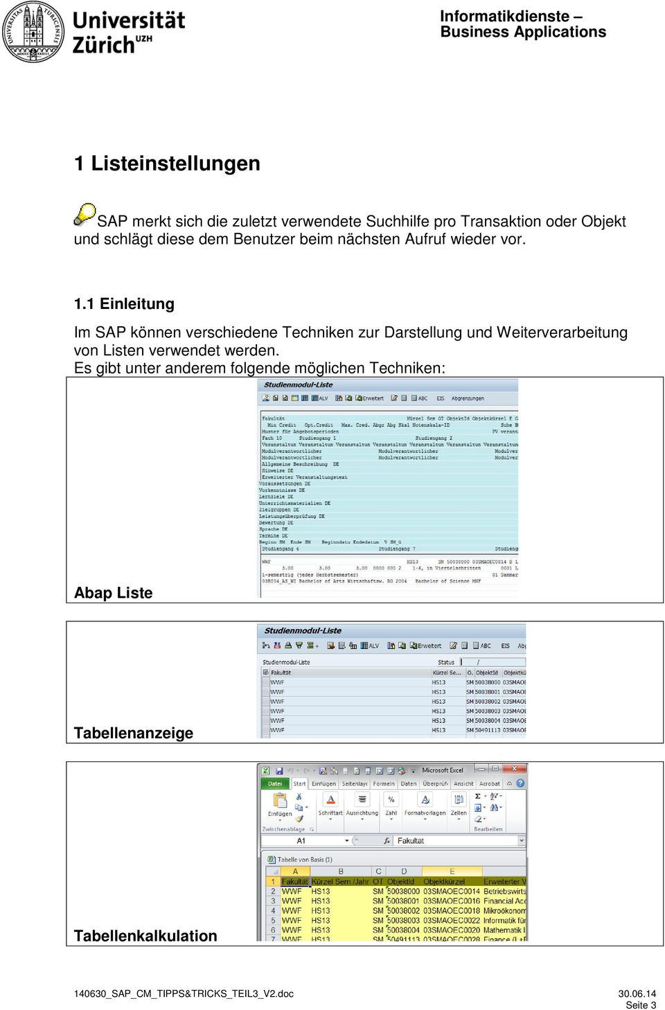 1 Einleitung Im SAP können verschiedene Techniken zur Darstellung und Weiterverarbeitung von