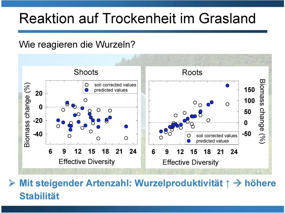 21 24 Effective Diversity soil corrected values predicted values 6 9 12 15 18 21 24 Effective