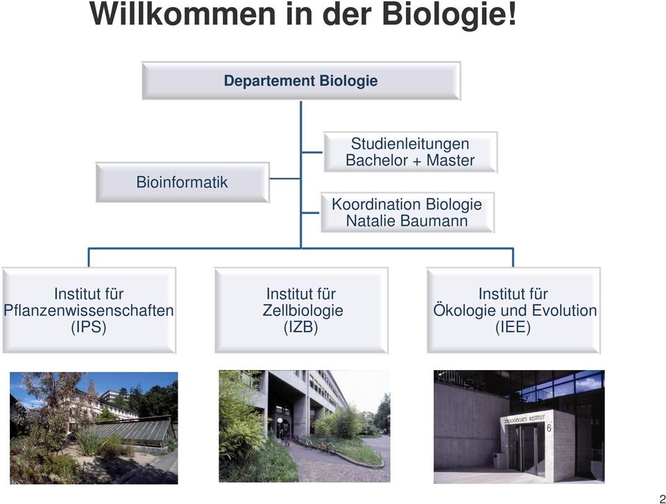 Master Koordination Biologie Natalie Baumann Institut für