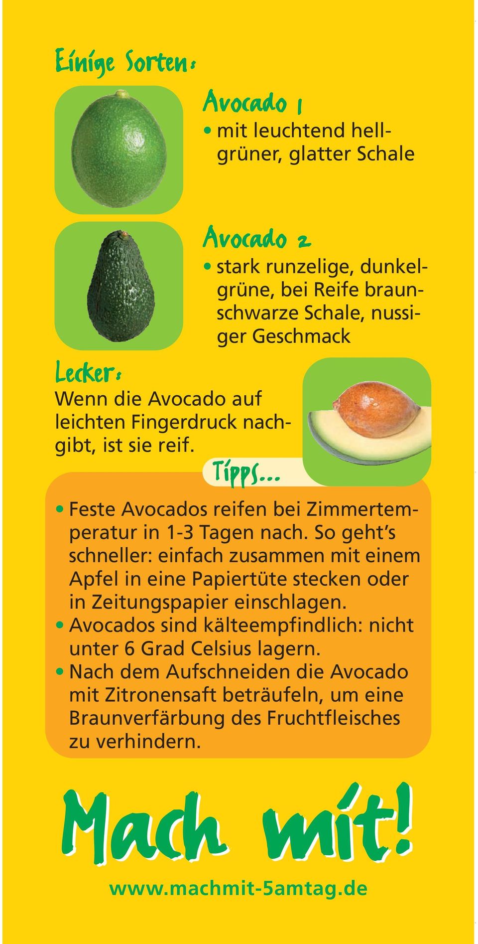 .. Feste Avocados reifen bei Zimmertemperatur in 1-3 Tagen nach.