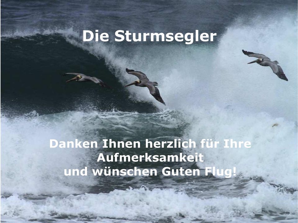 Flug! Sturmsegler e.v.