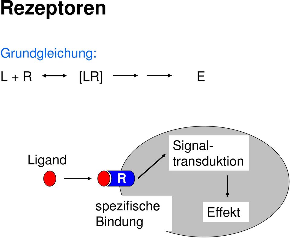 [LR] E Ligand R