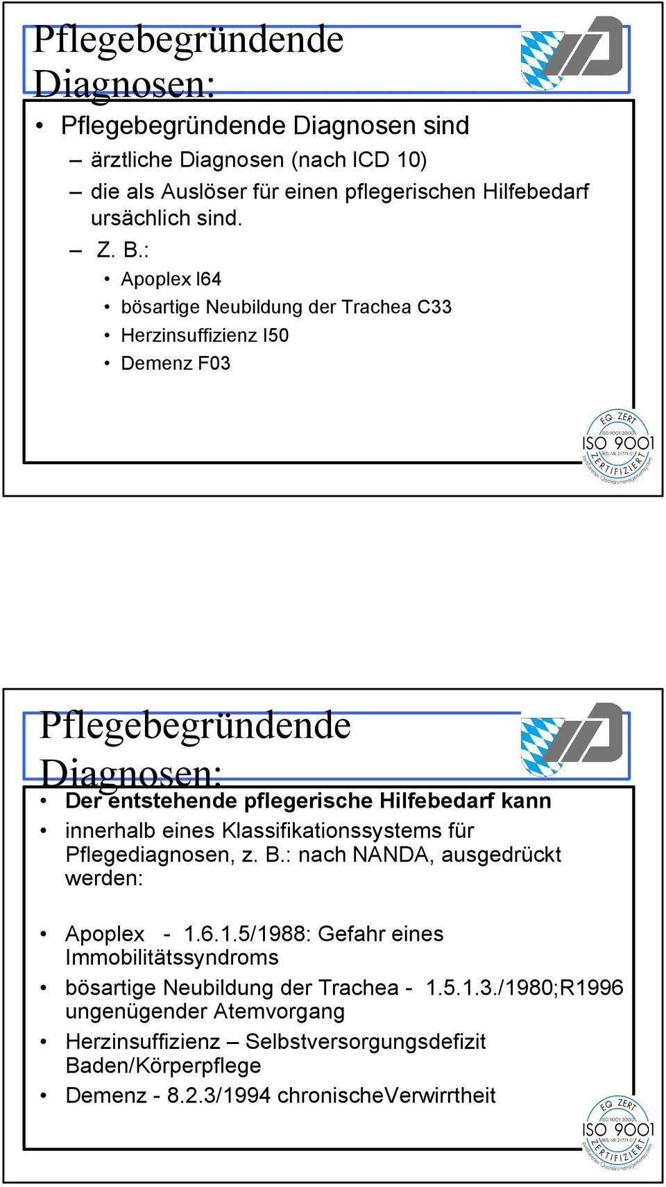 innerhalb eines Klassifikationssystems für Pflegediagnosen, z. B.: nach NANDA, ausgedrückt werden: Apoplex - 1.