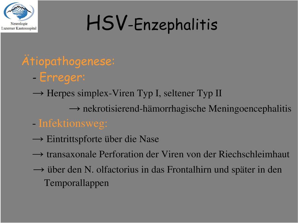 Infektionsweg: Eintrittspforte über die Nase transaxonale Perforation der Viren