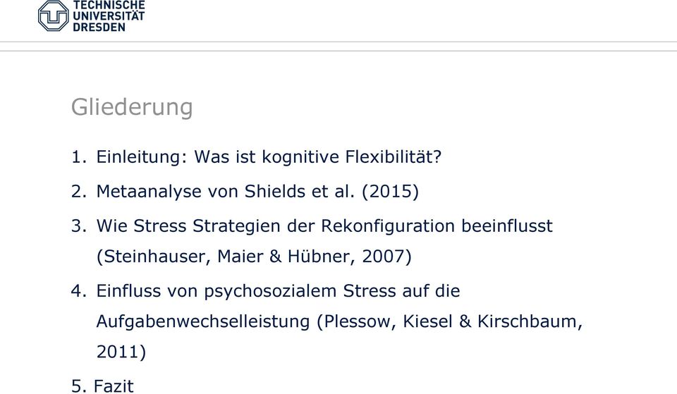Wie Stress Strategien der Rekonfiguration beeinflusst (Steinhauser, Maier &