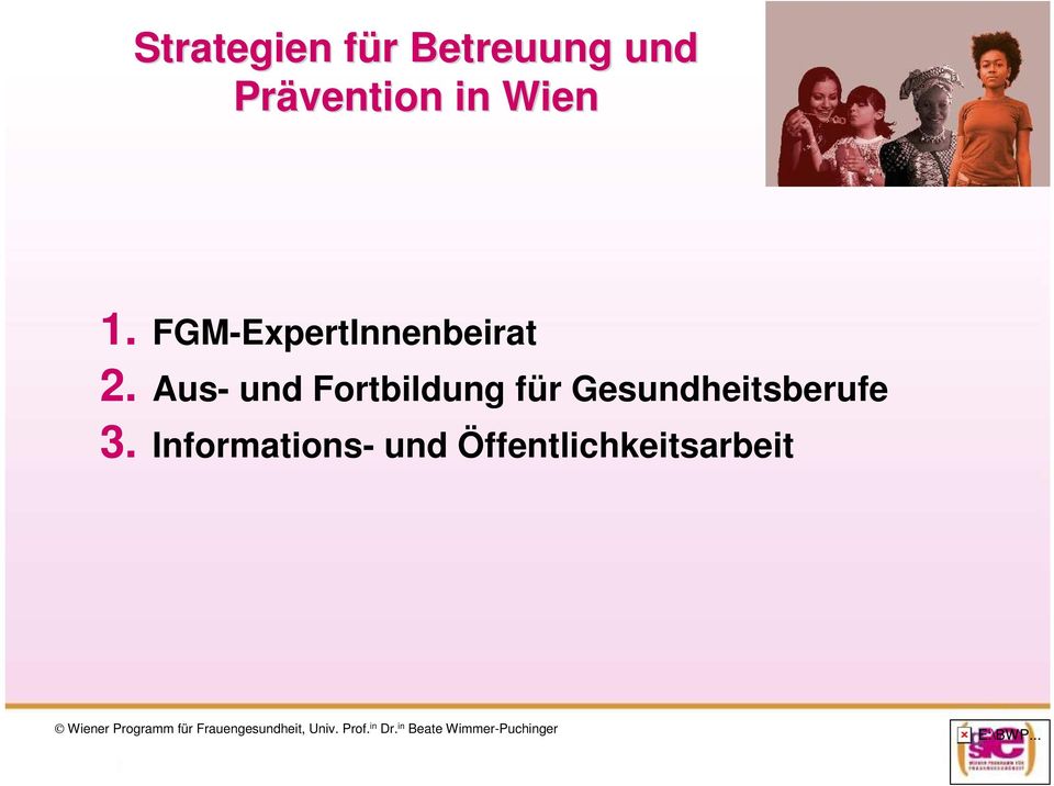 FGM-ExpertInnenbeirat 2.