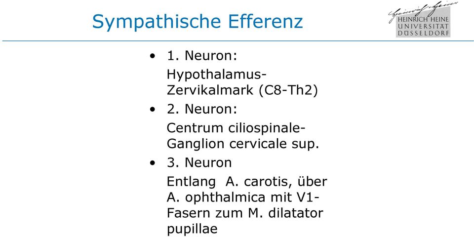 Neuron: Centrum ciliospinale- Ganglion cervicale sup.
