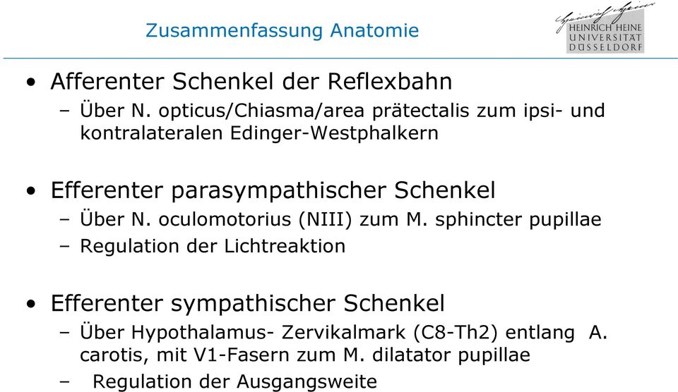 parasympathischer Schenkel Über N. oculomotorius (NIII) zum M.