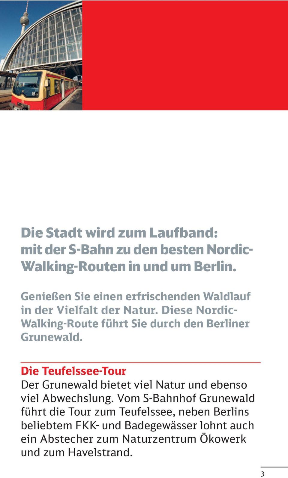Diese Nordic- Walking-Route führt Sie durch den Berliner Grunewald.