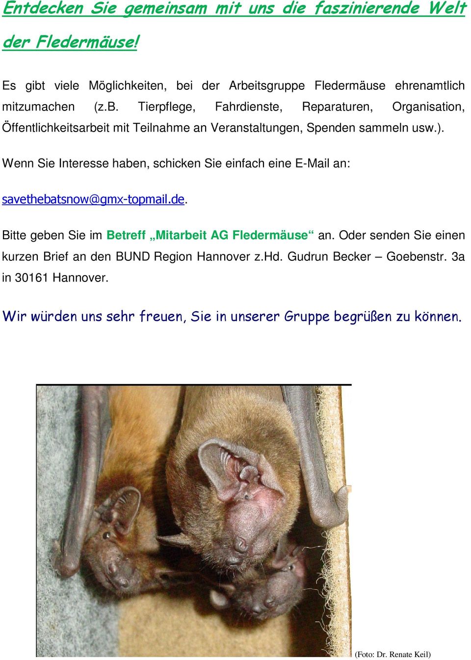 Wenn Sie Interesse haben, schicken Sie einfach eine E-Mail an: savethebatsnow@gmx-topmail.de. Bitte geben Sie im Betreff Mitarbeit AG Fledermäuse an.