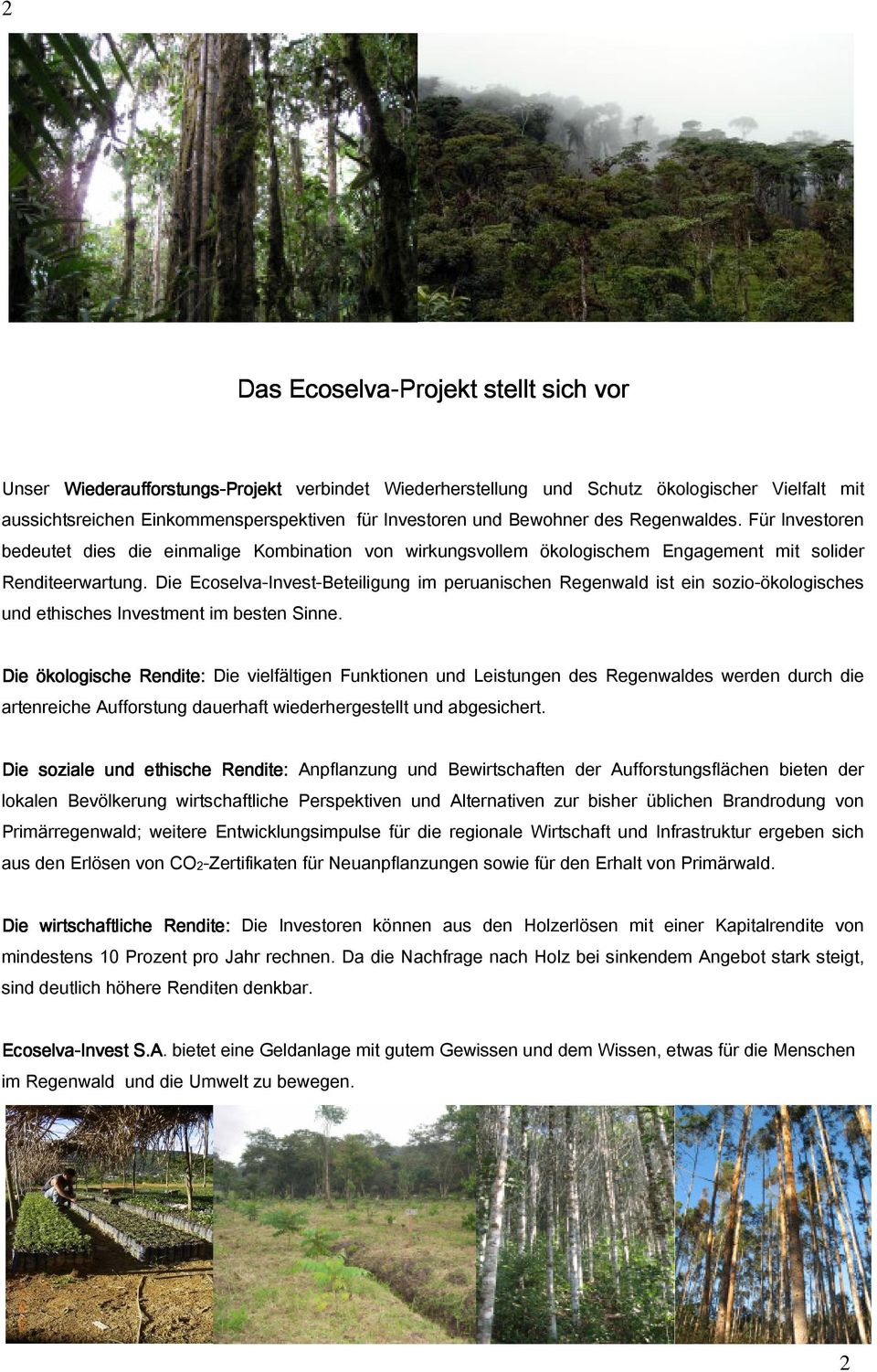 Die Ecoselva-Invest-Beteiligung im peruanischen Regenwald ist ein sozio-ökologisches und ethisches Investment im besten Sinne.