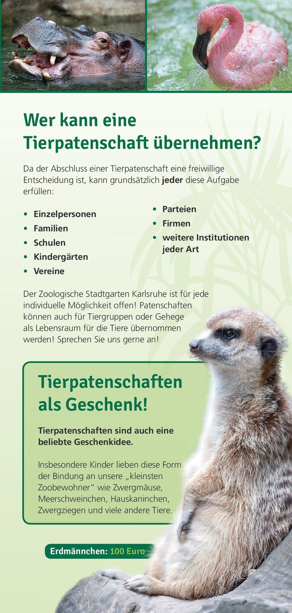 Firmen weitere Institutionen jeder Art Der Zoologische Stadtgarten Karlsruhe ist für jede individuelle Möglichkeit offen!
