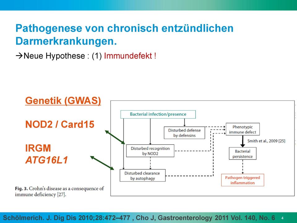 Genetik (GWAS) NOD2 / Card15 IRGM ATG16L1 Schölmerich.