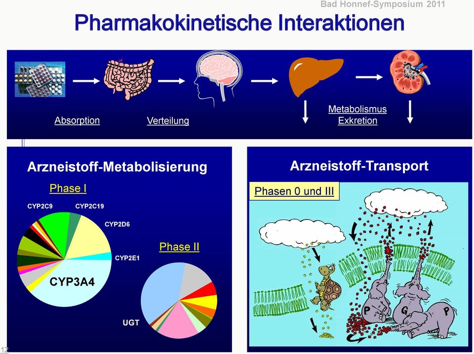 Arzneistoff-Metabolisierung Phase I CYP2C9 CYP2C19