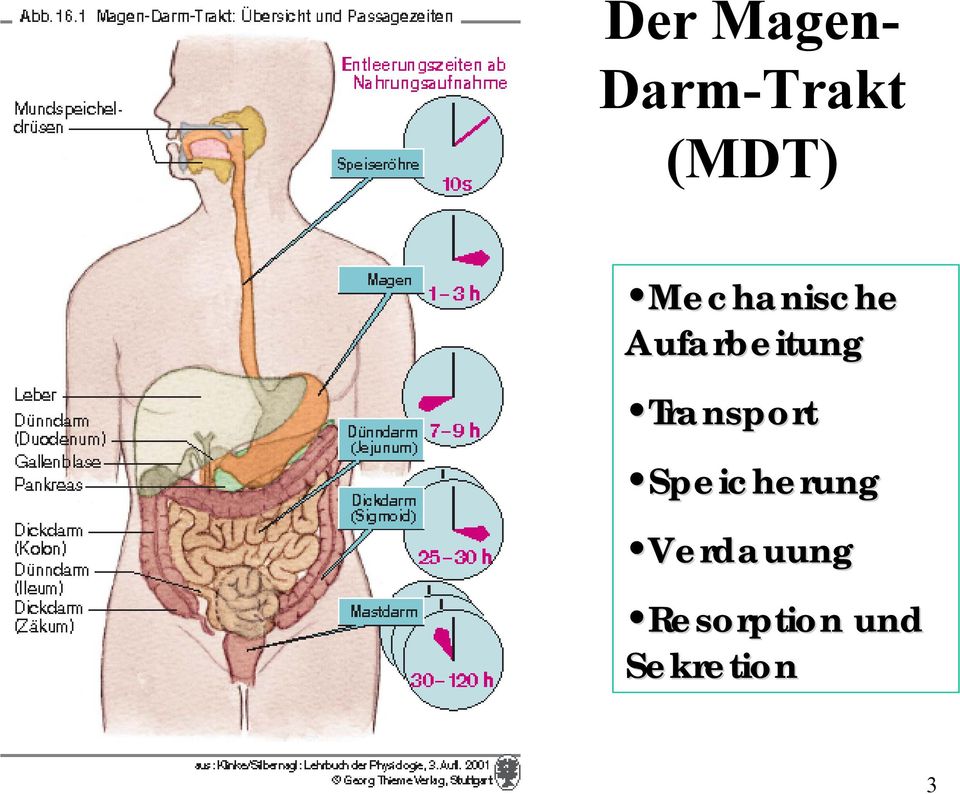 Physiologie Des Magen Darm Traktes Pdf Free Download