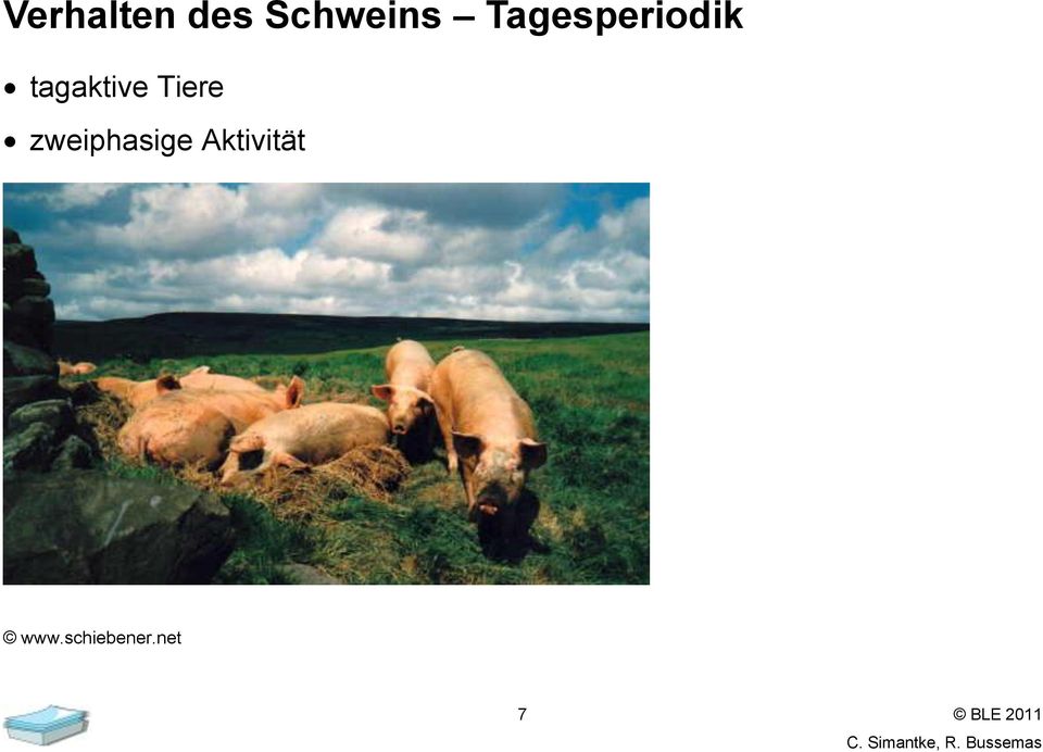 Tiere zweiphasige