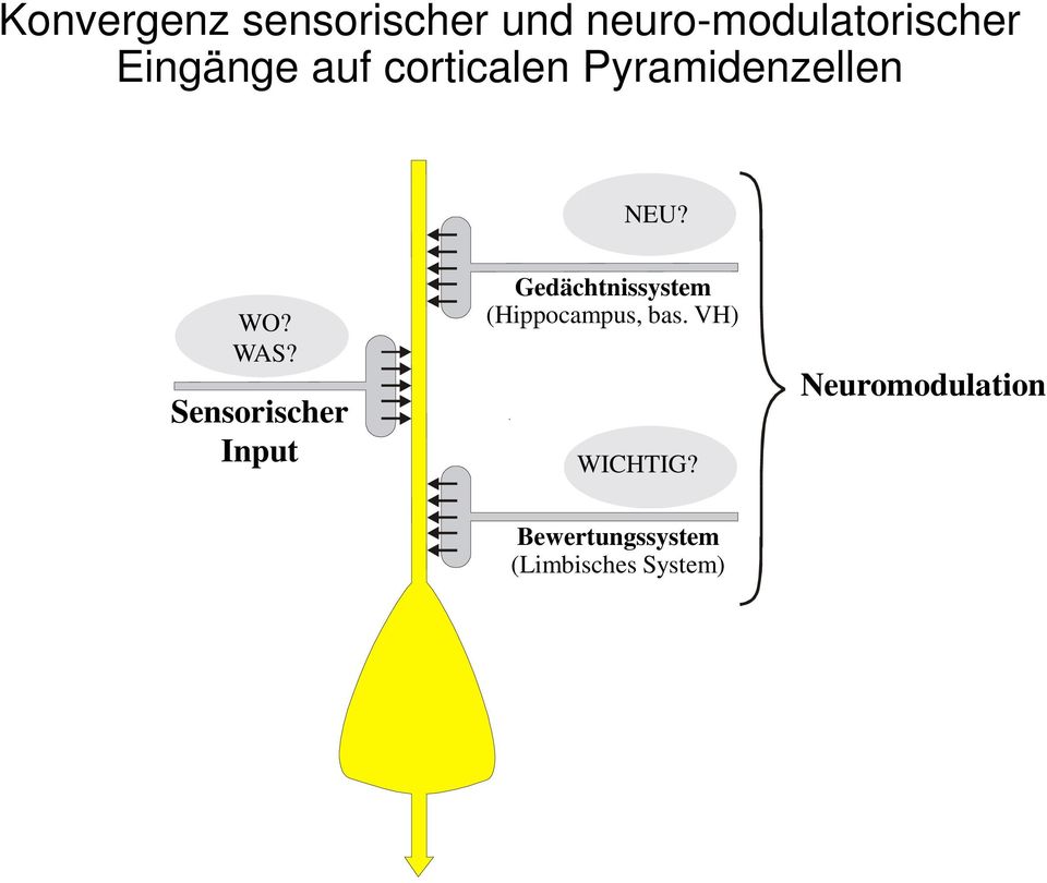 Sensorischer Input Gedächtnissystem (Hippocampus, bas.