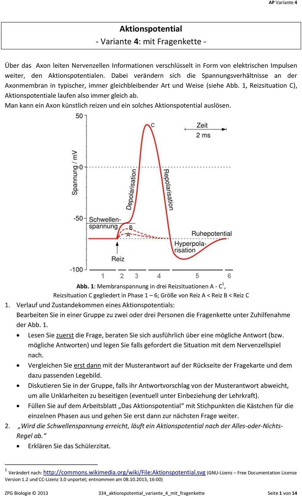 Man kann ein Axon künstlich reizen und ein solches Aktionspotential auslösen. Abb.