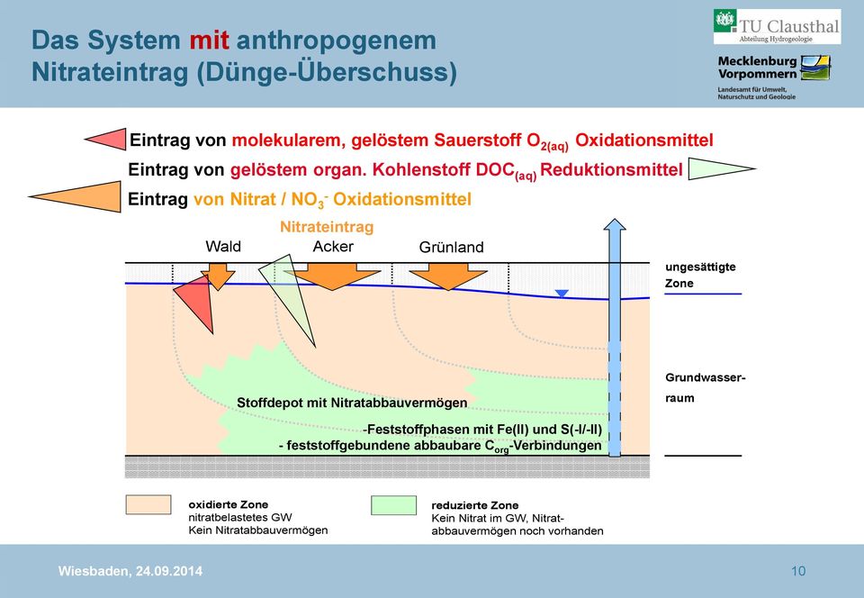 Kohlenstoff DOC (aq) Reduktionsmittel Wald Nitrateintrag Acker Grünland ph ph Calcium Magnesium Grünland HCO - - 3 3 Nitrat HCO - Eisen 3 CO 2-2- 3 3 Mangan Sulfat CO 2-3 ungesättigte Zone Mangan