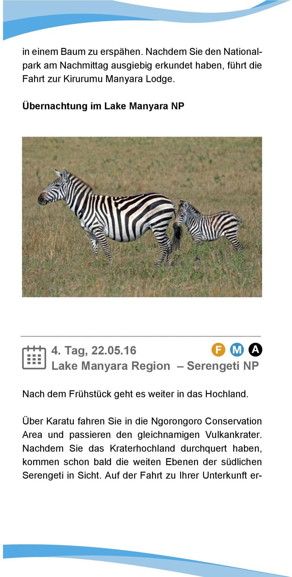 Übernachtung im Lake Manyara NP 4. Tag, 22.05.16 Lake Manyara Region Serengeti NP Nach dem Frühstück geht es weiter in das Hochland.