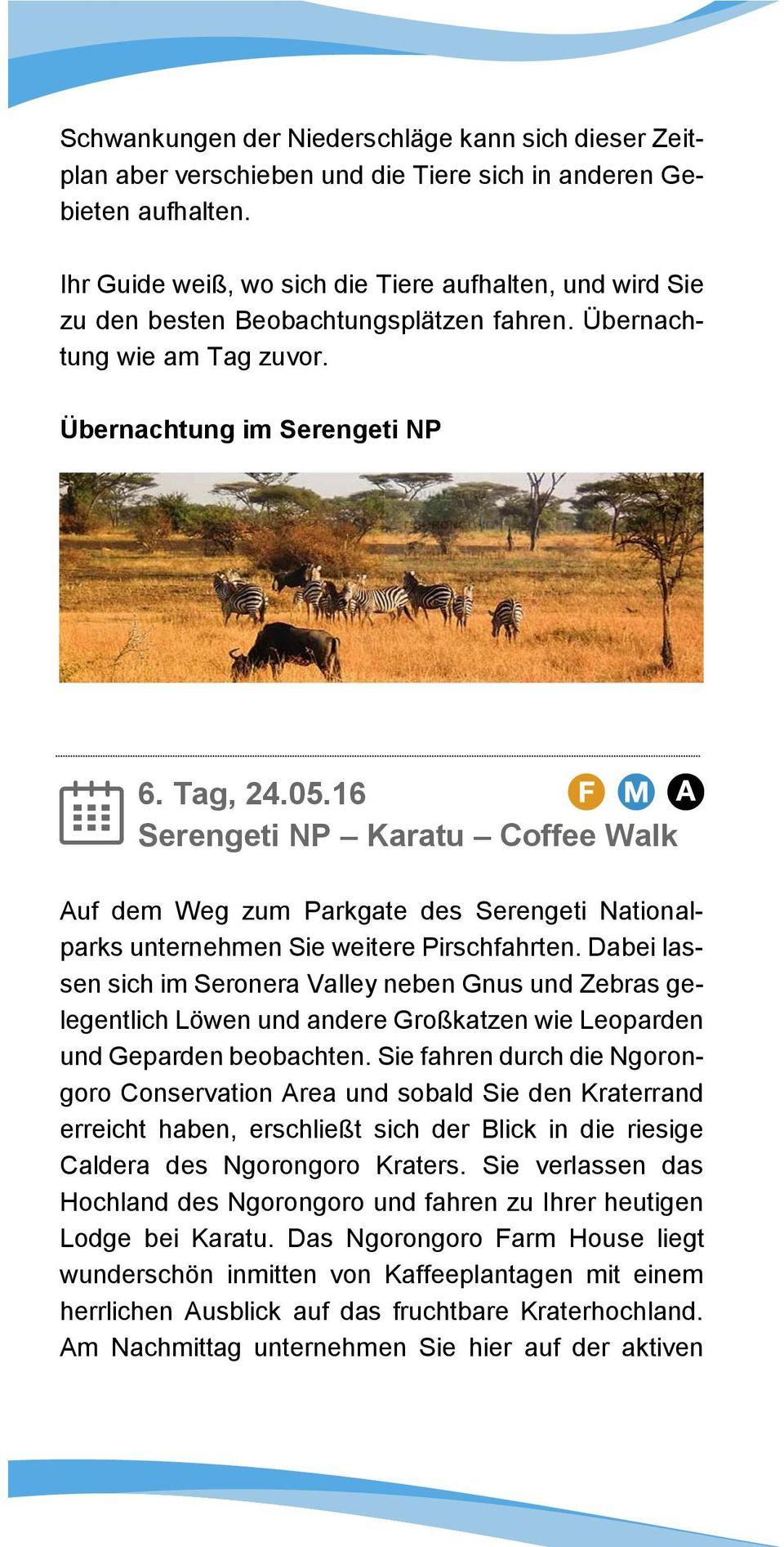 16 Serengeti NP Karatu Coffee Walk Auf dem Weg zum Parkgate des Serengeti Nationalparks unternehmen Sie weitere Pirschfahrten.