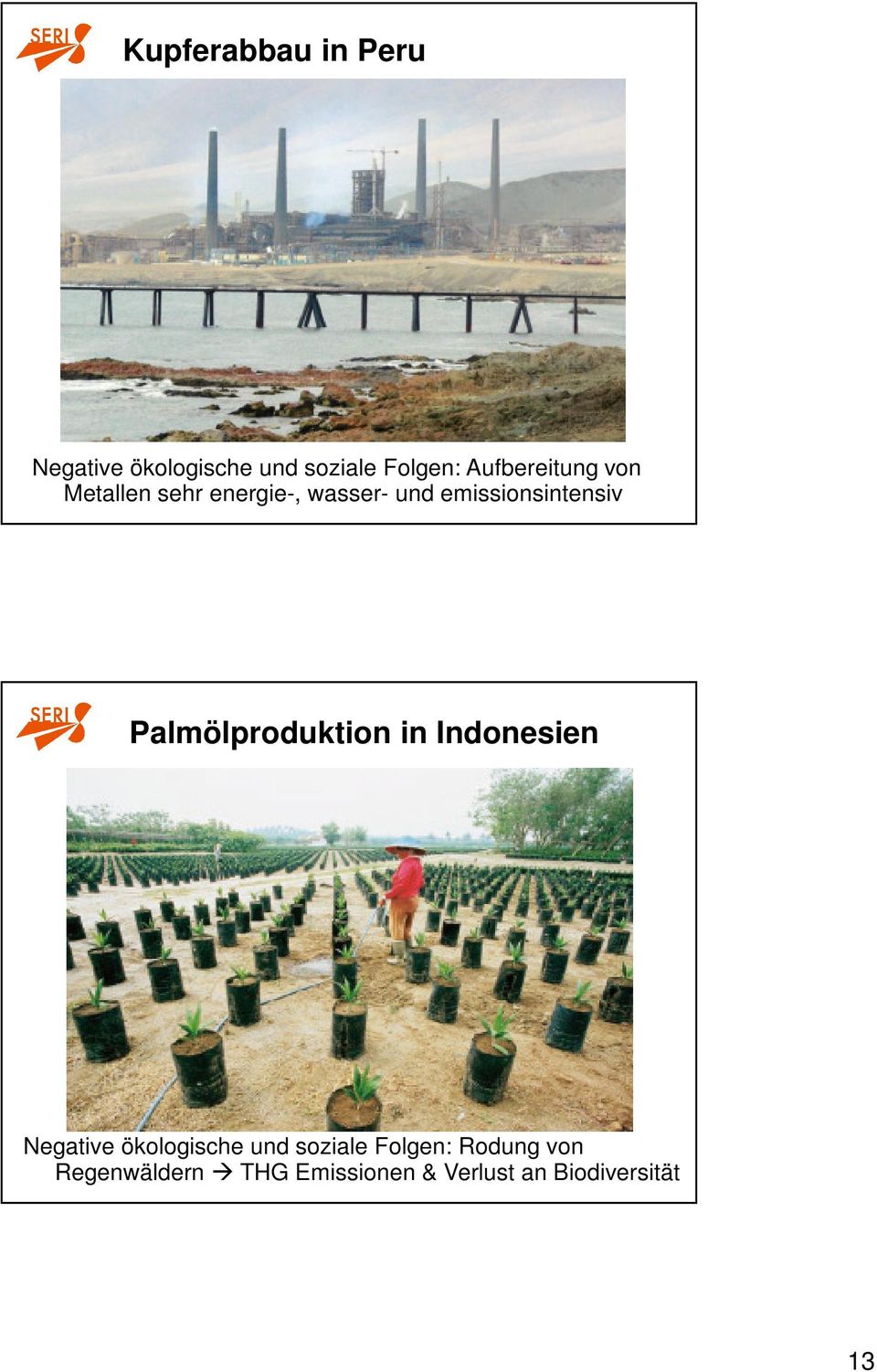 emissionsintensiv Palmölproduktion in Indonesien Negative