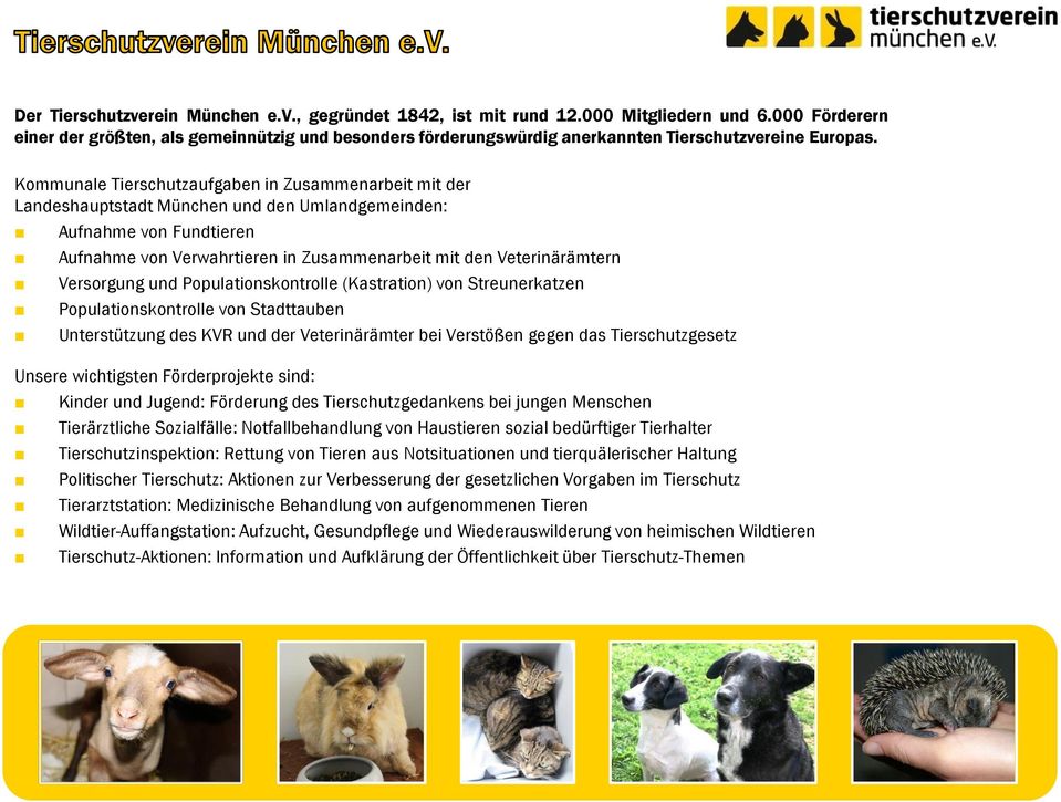 Kommunale Tierschutzaufgaben in Zusammenarbeit mit der Landeshauptstadt München und den Umlandgemeinden: Aufnahme von Fundtieren Aufnahme von Verwahrtieren in Zusammenarbeit mit den Veterinärämtern