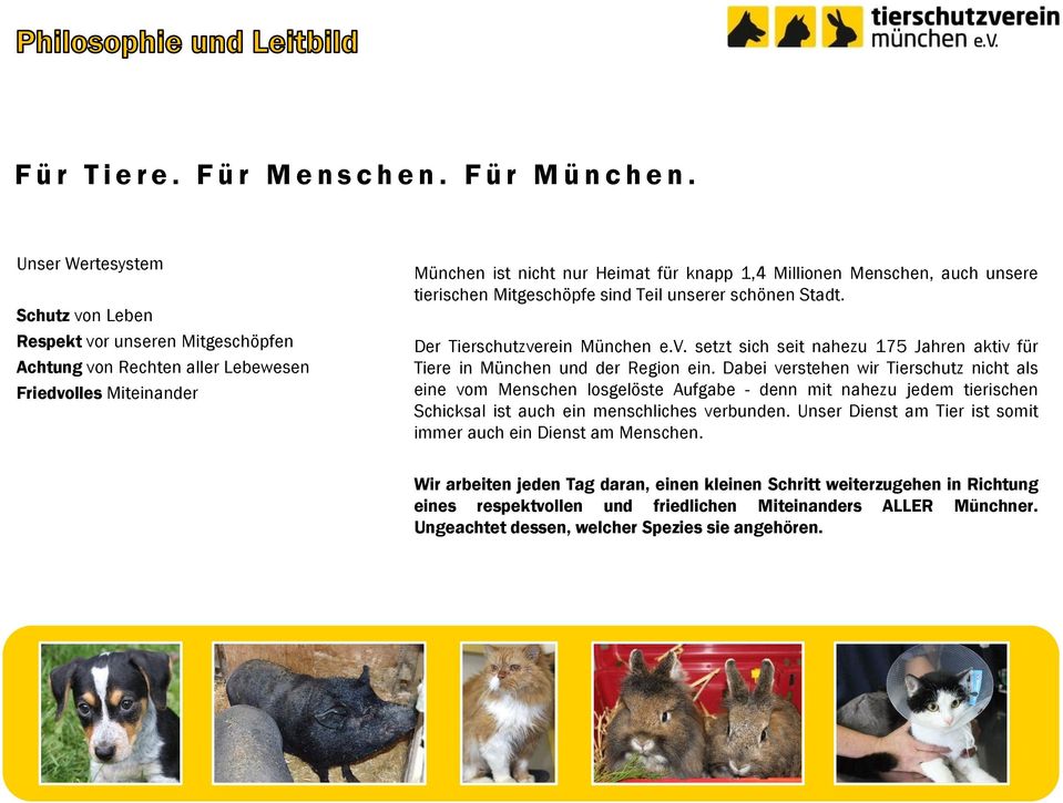 unsere tierischen Mitgeschöpfe sind Teil unserer schönen Stadt. Der Tierschutzverein München e.v. setzt sich seit nahezu 175 Jahren aktiv für Tiere in München und der Region ein.