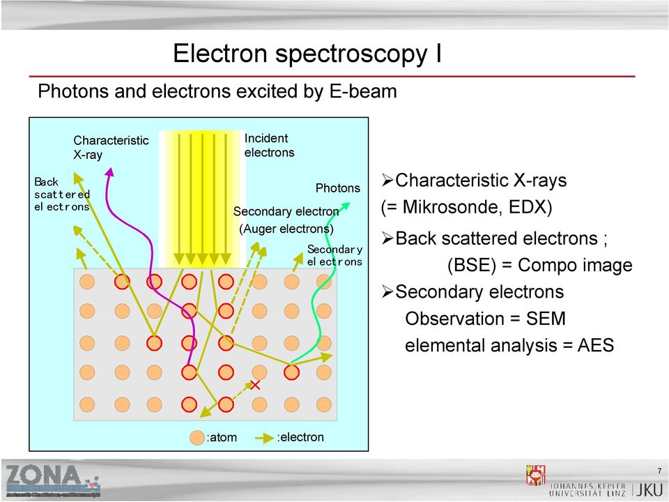 Secondar y el ect r ons Characteristic X-rays (= Mikrosonde, EDX) Back scattered electrons ;