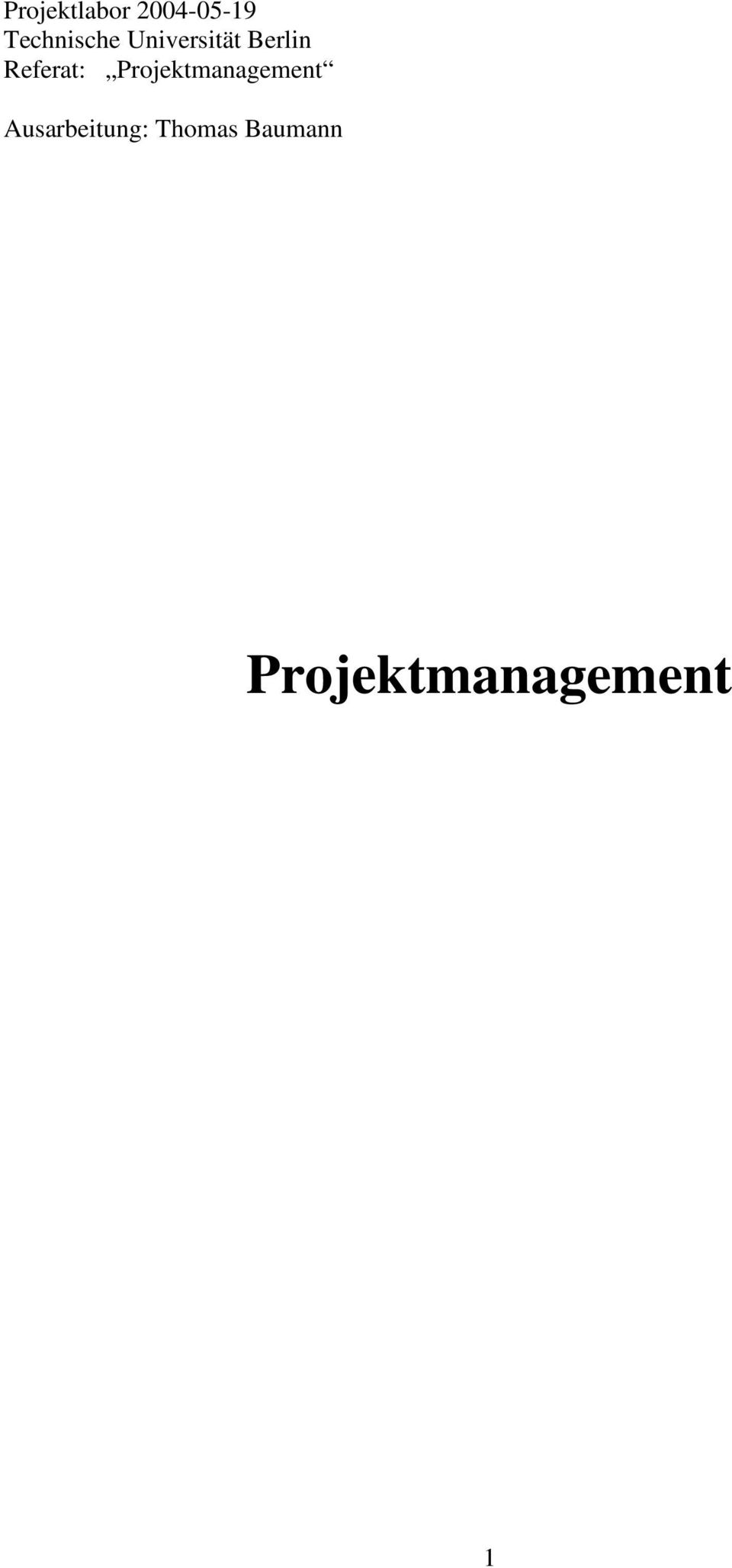 Referat: Projektmanagement