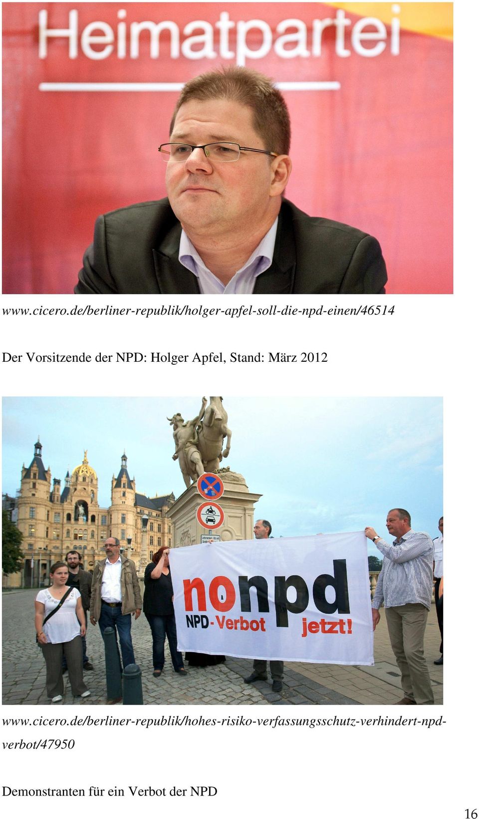 Vorsitzende der NPD: Holger Apfel, Stand: März 2012