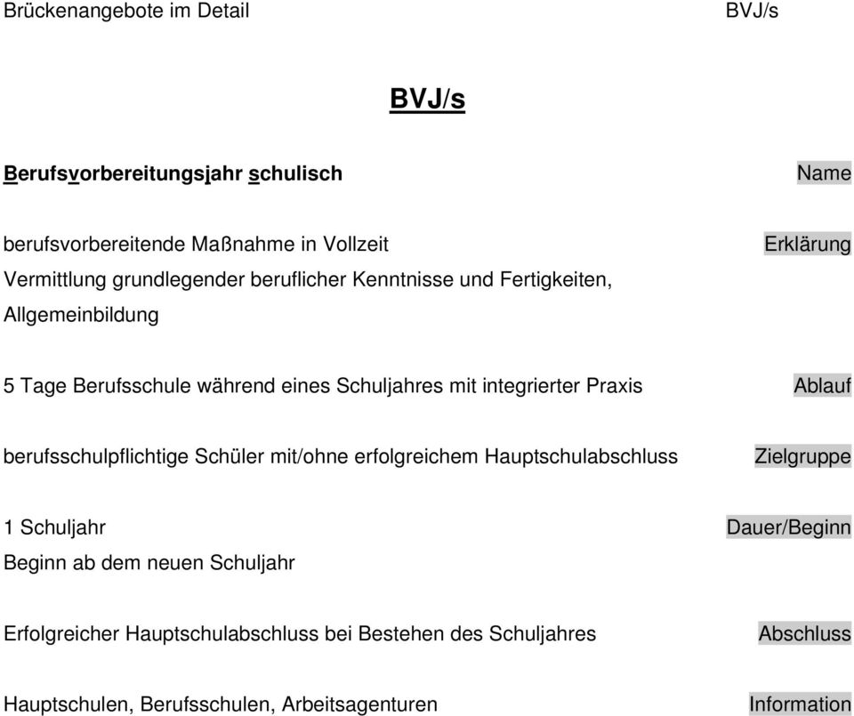 integrierter Praxis berufsschulpflichtige Schüler mit/ohne erfolgreichem Hauptschulabschluss 1 Schuljahr Beginn ab