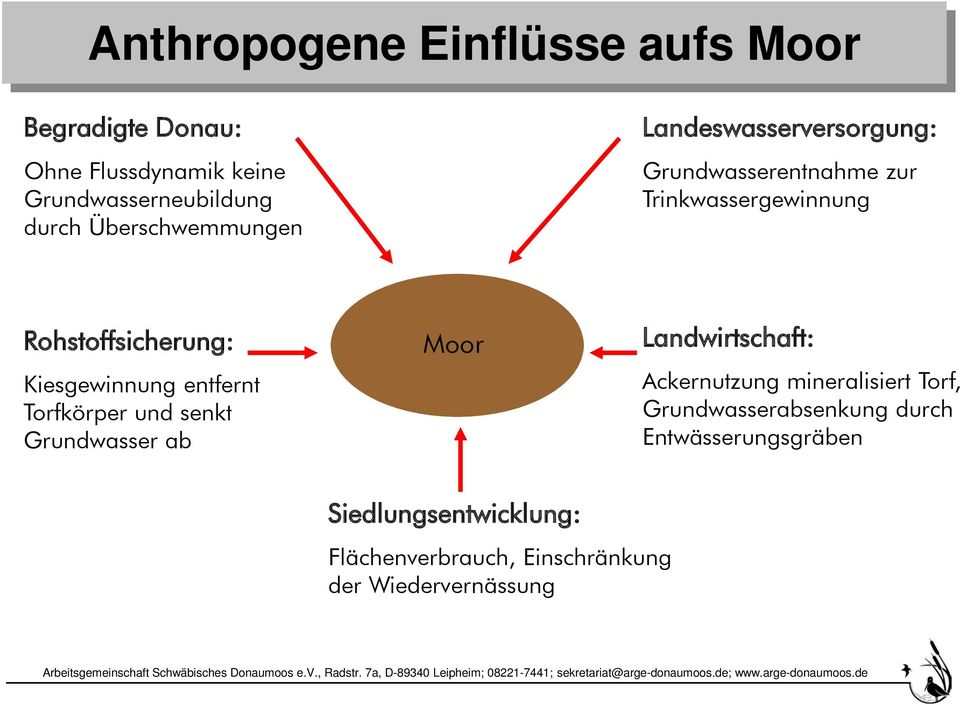 Kiesgewinnung entfernt Torfkörper und senkt Grundwasser ab Moor Landwirtschaft: Ackernutzung mineralisiert