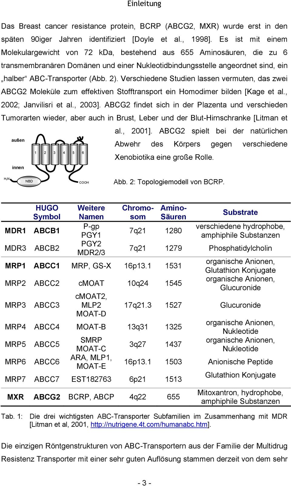 Verschiedene Studien lassen vermuten, das zwei ABCG2 Moleküle zum effektiven Stofftransport ein omodimer bilden [Kage et al., 2002; Janvilisri et al., 2003].