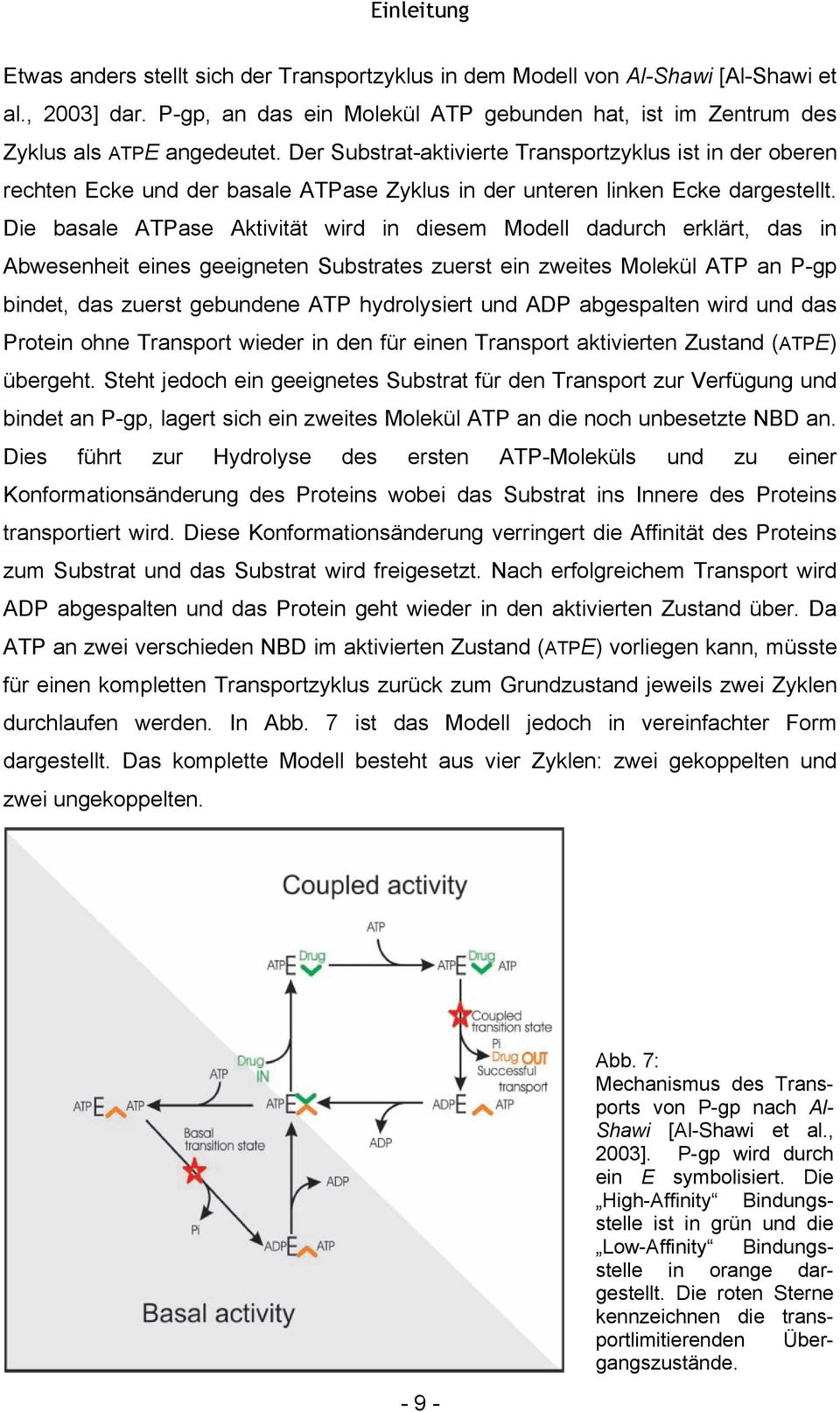 Der Substrat-aktivierte Transportzyklus ist in der oberen rechten Ecke und der basale ATPase Zyklus in der unteren linken Ecke dargestellt.