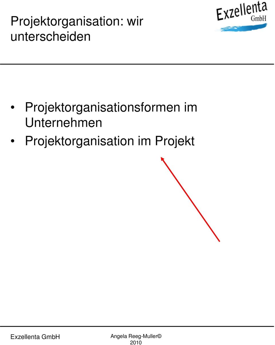 Projektorganisationsformen