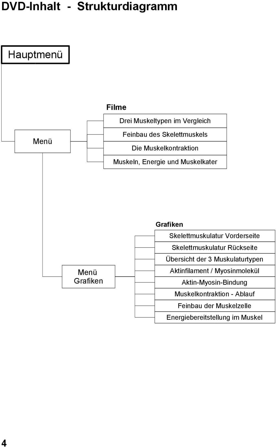 Skelettmuskulatur Vorderseite Skelettmuskulatur Rückseite Übersicht der 3 Muskulaturtypen