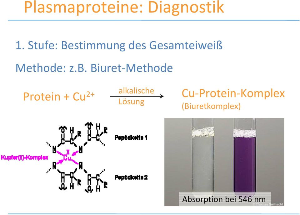 b. Biuret Methode Protein + Cu 2+ alkalische