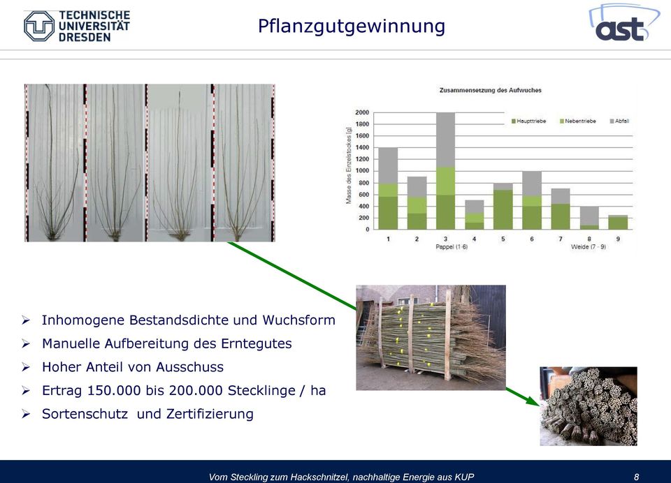 Ertrag 150.000 bis 200.