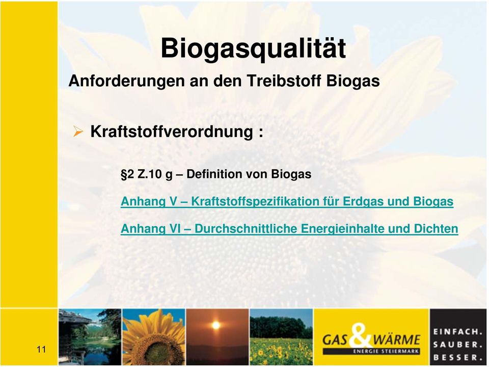 10 g Definition von Biogas Anhang V