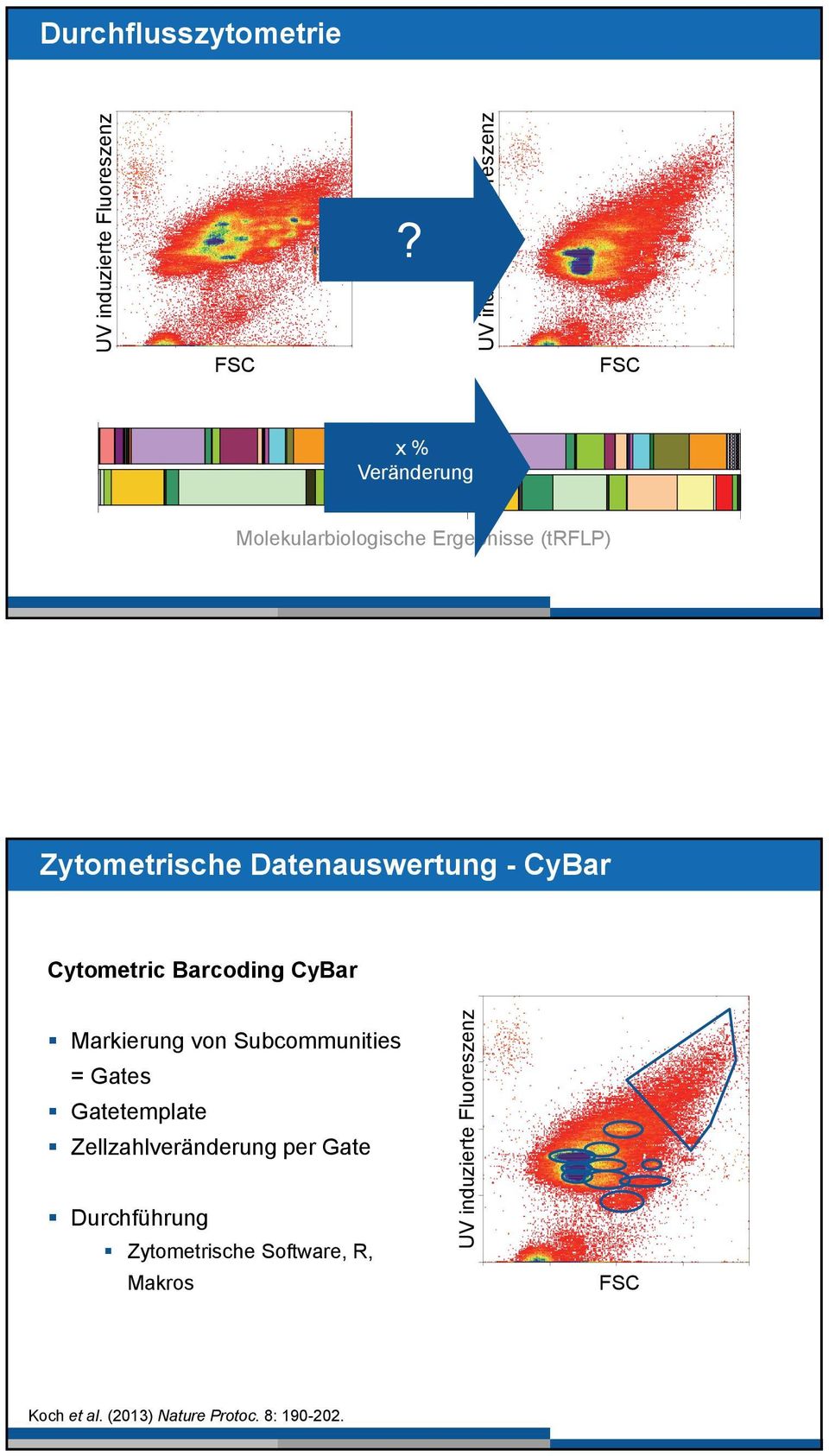 Molekularbiologische Ergebnisse (trflp) Zytometrische Datenauswertung - CyBar Cytometric Barcoding CyBar Markierung von