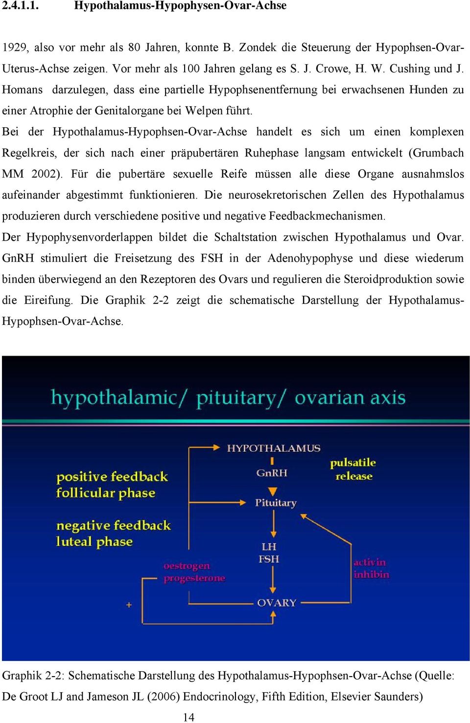 Bei der Hypothalamus-Hypophsen-Ovar-Achse handelt es sich um einen komplexen Regelkreis, der sich nach einer präpubertären Ruhephase langsam entwickelt (Grumbach MM 2002).