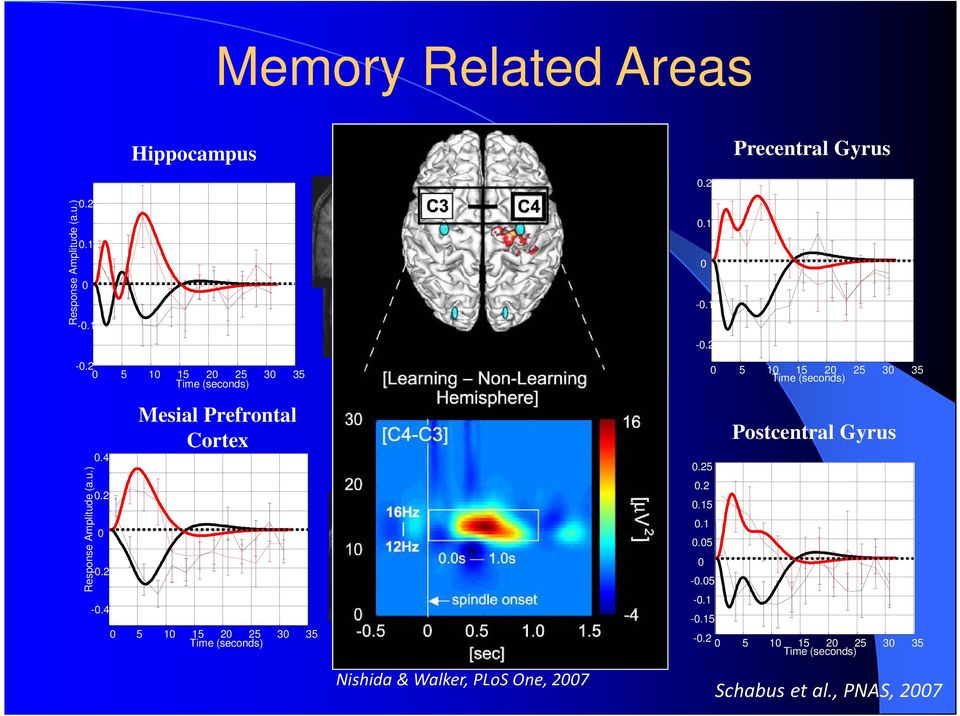 4 Mesial Prefrontal Cortex 0 5 10 15 20 25 30 35 Time (seconds) Nishida & Walker, PLoS One, 2007 0.1 0-0.1-0.