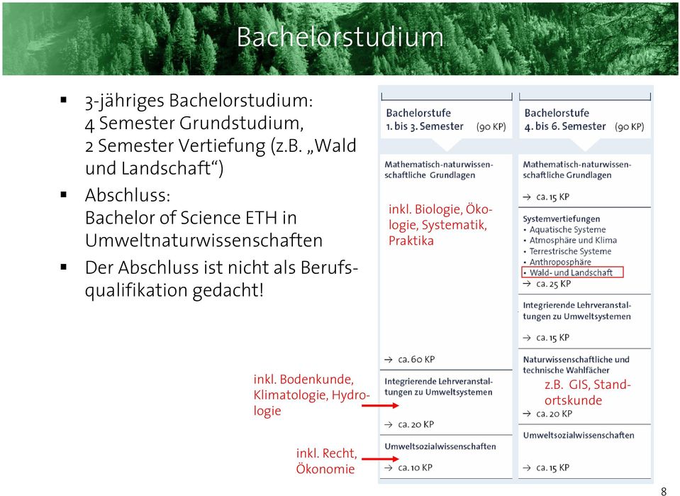 Abschluss ist nicht als Berufsqualifikation gedacht! inkl.