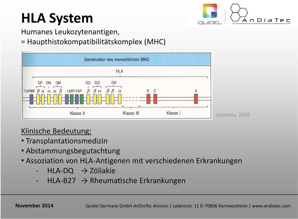 Bedeutung: Transplantationsmedizin Abstammungsbegutachtung Assoziation