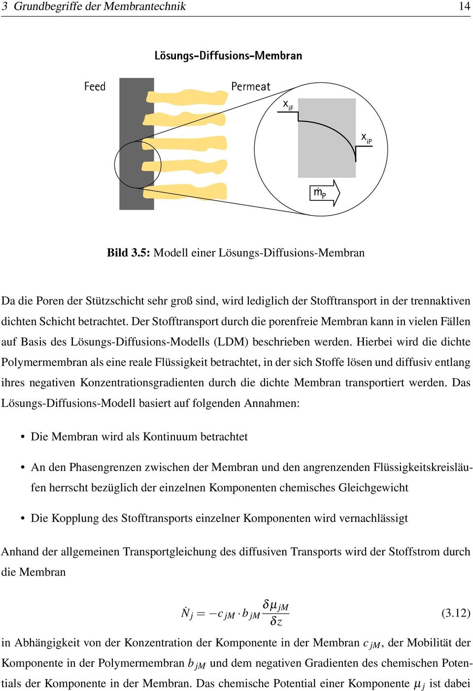 Der Stofftransport durch die porenfreie Membran kann in vielen Fällen auf Basis des Lösungs-Diffusions-Modells (LDM) beschrieben werden.