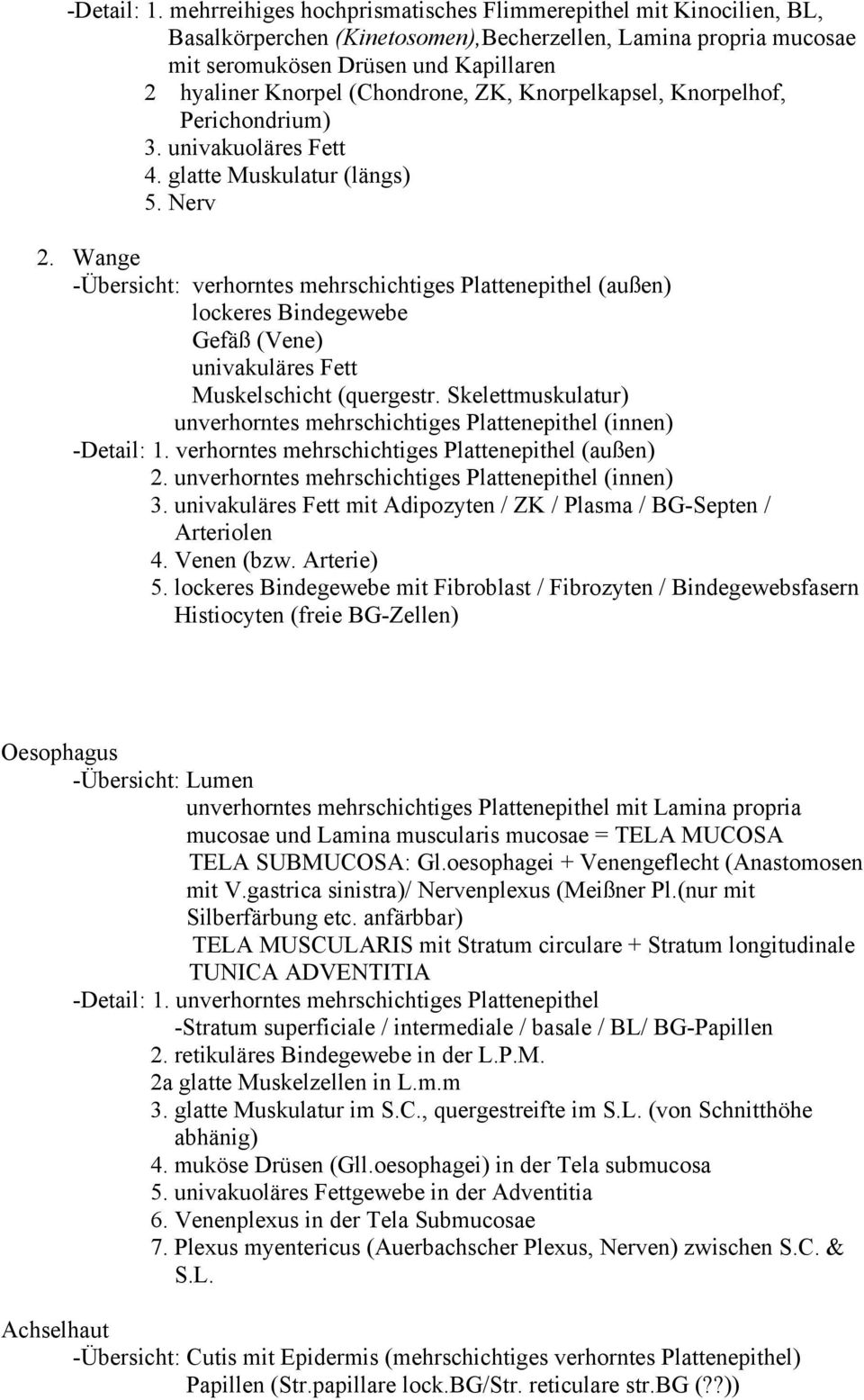 (Chondrone, ZK, Knorpelkapsel, Knorpelhof, Perichondrium) 3. univakuoläres Fett 4. glatte Muskulatur (längs) 5. Nerv 2.