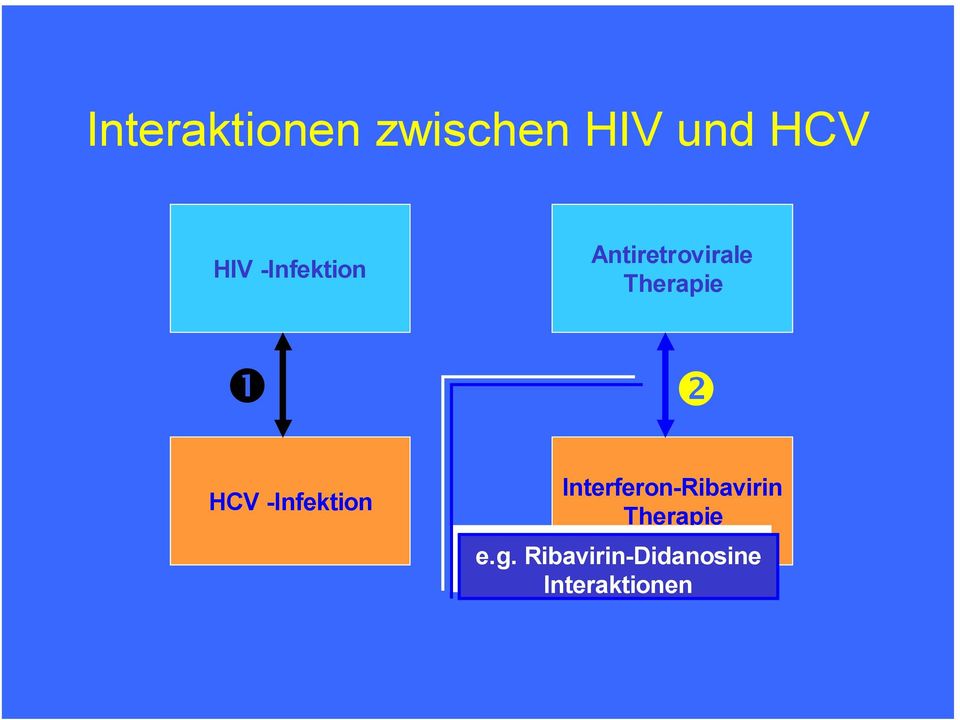 " HCV -Infektion Interferon-Ribavirin